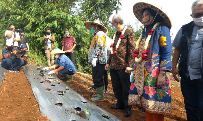 Ratusan Orang Korban PHK Diberi Lahan Pertanian