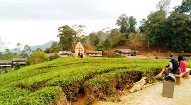 Tempat Wisata Jangan Ganggu Wilayah Konservasi