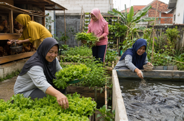 Ilustrasi kelompok perempuan mengelola kebun pangan, kolam ikan, dan ternak ayam di Cimahi
