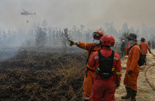 Petugas gabungan menangani kebakaran hutan dan lahan di Kalimantan